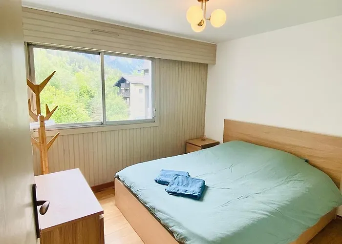 Pied Des Pistes/hyper Centre/balcon/parking Chamonix Mont Blanc